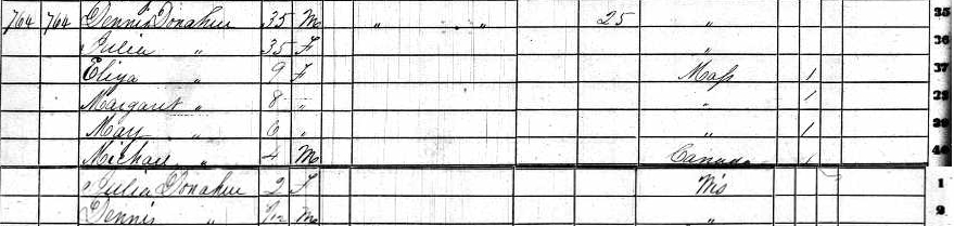 1860 U.S. Federal Census for Ripon, Wisconsin