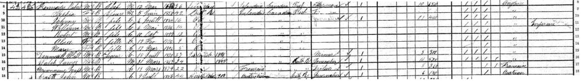 1901 census Kennedy family