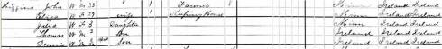 1880 census Higgins