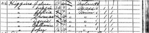 1885 MN state census Higgins